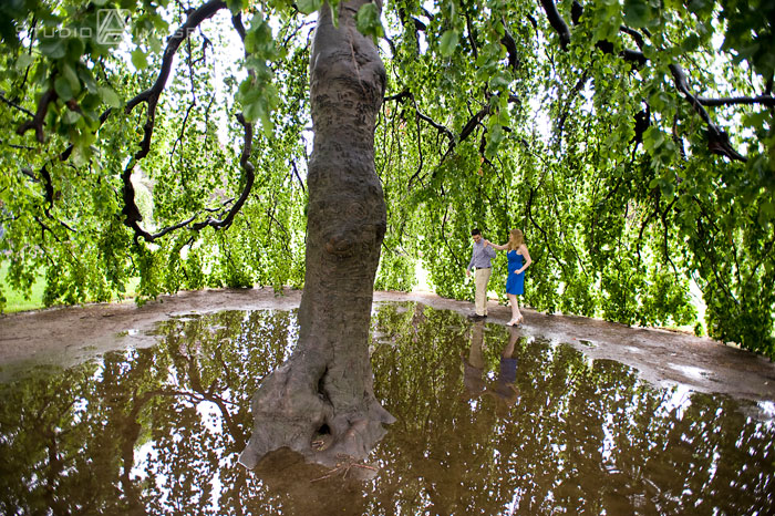Lisa + Doug | Boston Public Garden Engagement Photography | Massachusetts Engagement Photographer Boston Public Garden, Clerys, Couples, Engagement, engagement photography, engagement photos, Love, MA, Massachusetts, Boston wedding photography, Photography, Portraits, Studio A Images, wedding photography, Boston Public Garden engagement photos, Boston Public Garden engagement photos