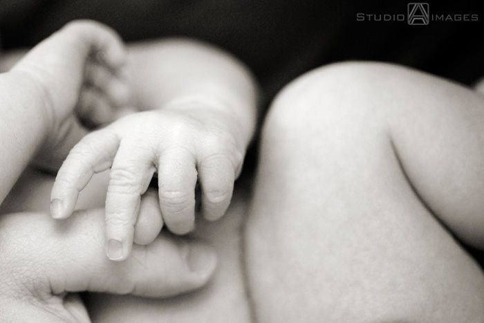 Gavin | NYC Newborn Portrait Photography | NYC Newborn Photographer