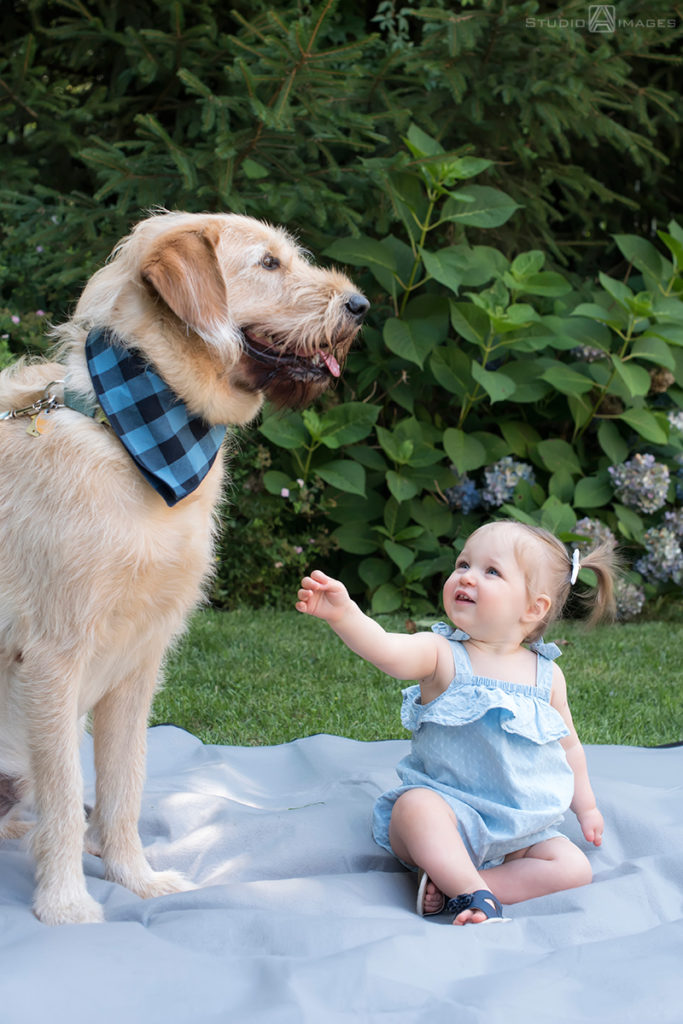 Westfield Family Photos | Westfield Family Photographer | Paisley