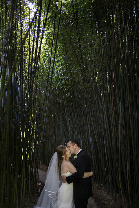 bride and groom on their wedding day at Celebrate at Snug Harbor botanical gardens