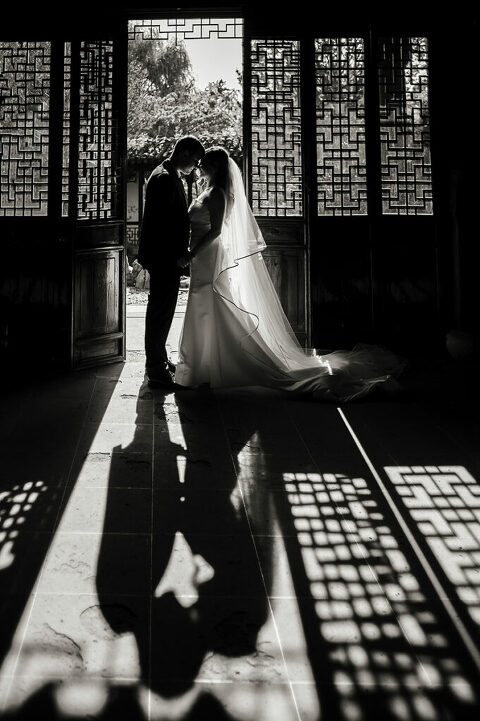 bride and groom silhouetted on their wedding day at Celebrate at Snug Harbor botanical gardens