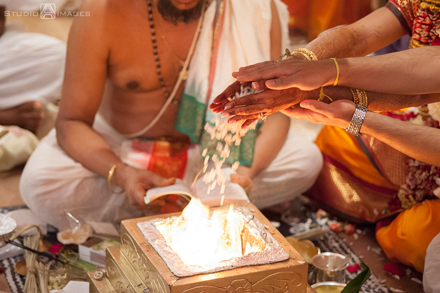 Indian Wedding Photography | NJ Wedding Photographers 
