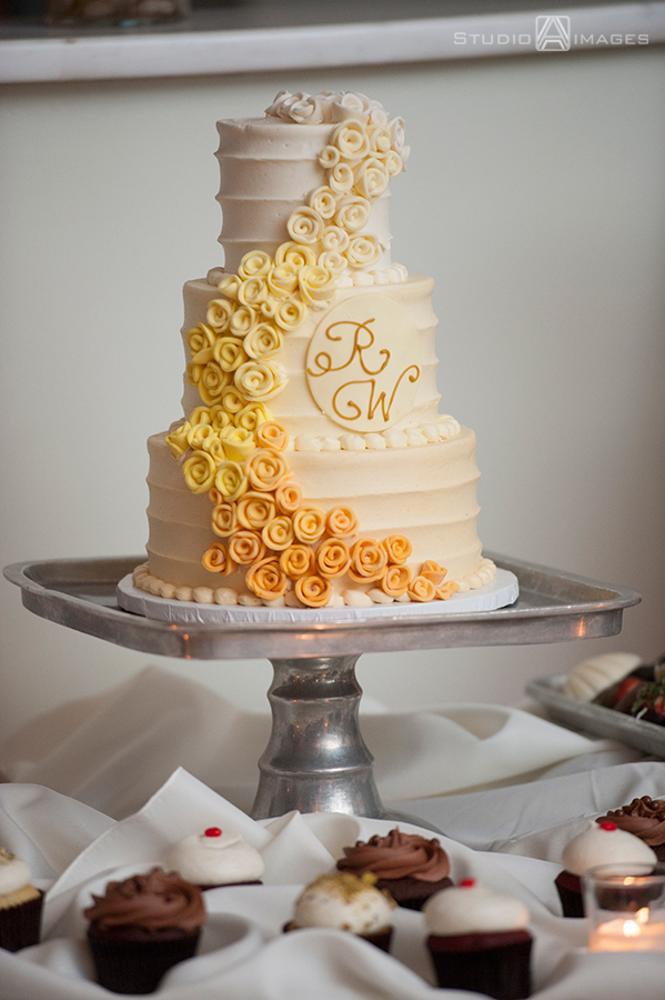 Battery Gardens Wedding Photos | NYC Wedding Photographers