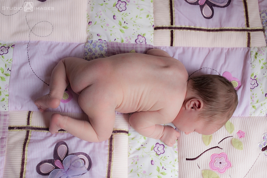 NJ Newborn Portrait Photography | NJ Newborn Photographer