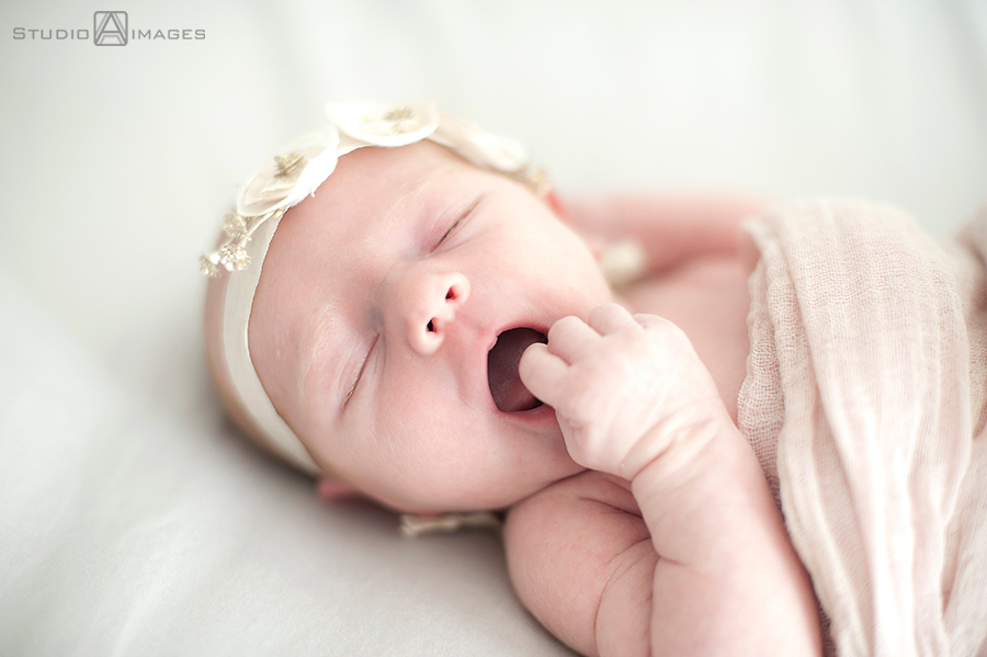 bucks county newborn session, newborn portraits, baby, newborn photographer, bucks county newborn photographer