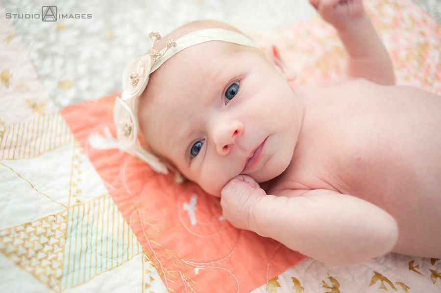 bucks county newborn session, newborn portraits, baby, newborn photographer, bucks county newborn photographer