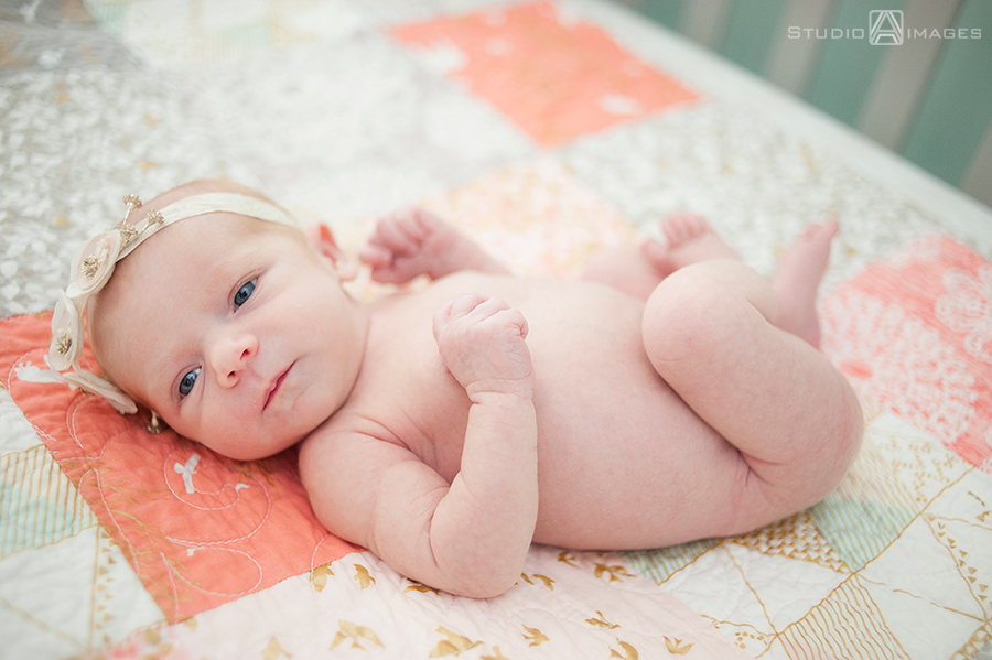 bucks county newborn session, newborn portraits, baby, newborn photographer, bucks county newborn photographer