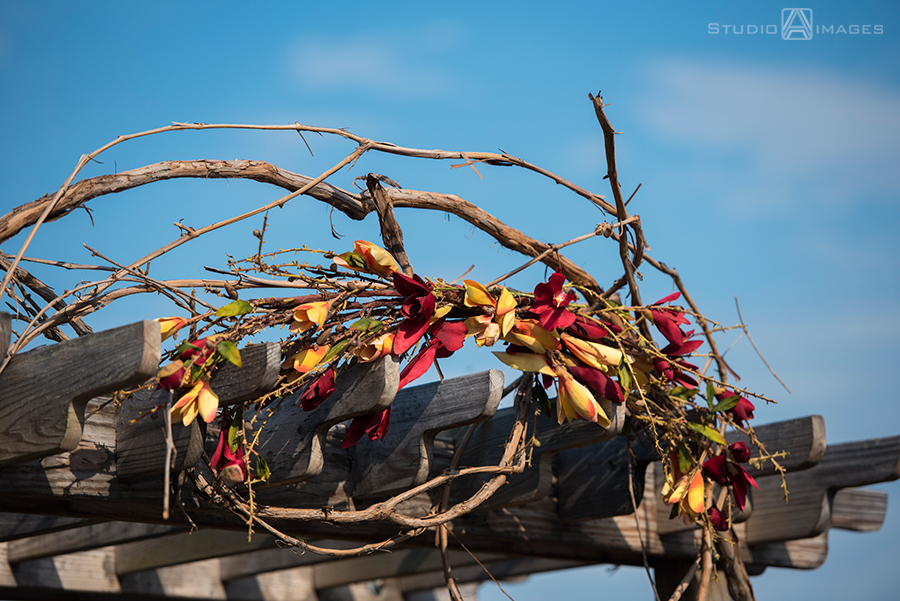 Sand Castle Winery Wedding Photos | Bucks County Wedding Photographer | Marci + Tracey