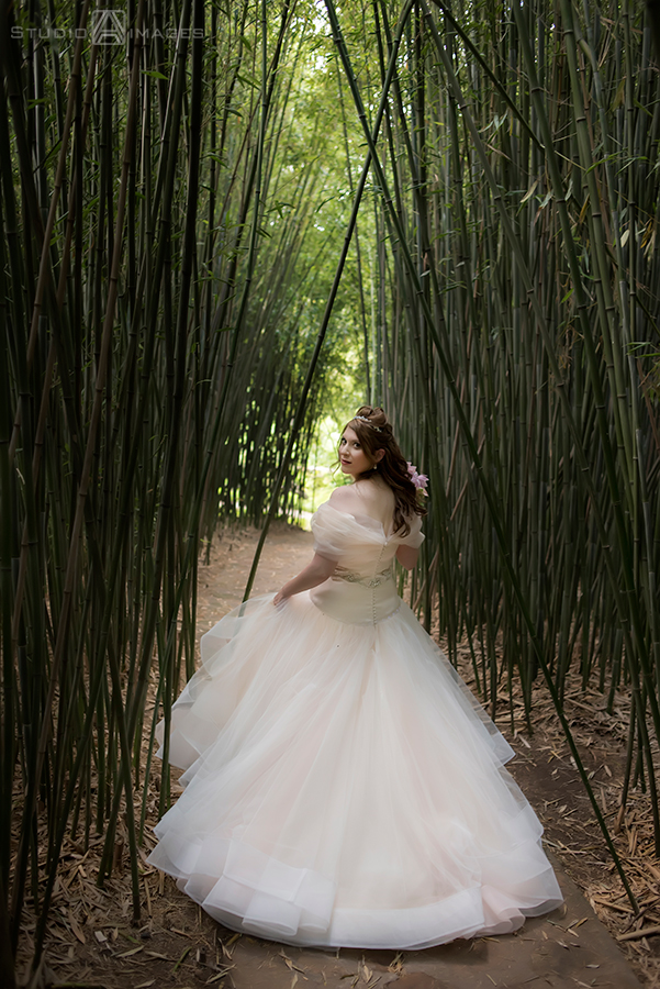 Celebrate at Snug Harbor Wedding Photos | NYC Wedding Photographer