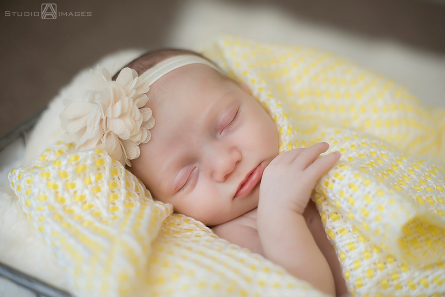 Hoboken Newborn Portrait Photography | Hoboken Newborn Photographer