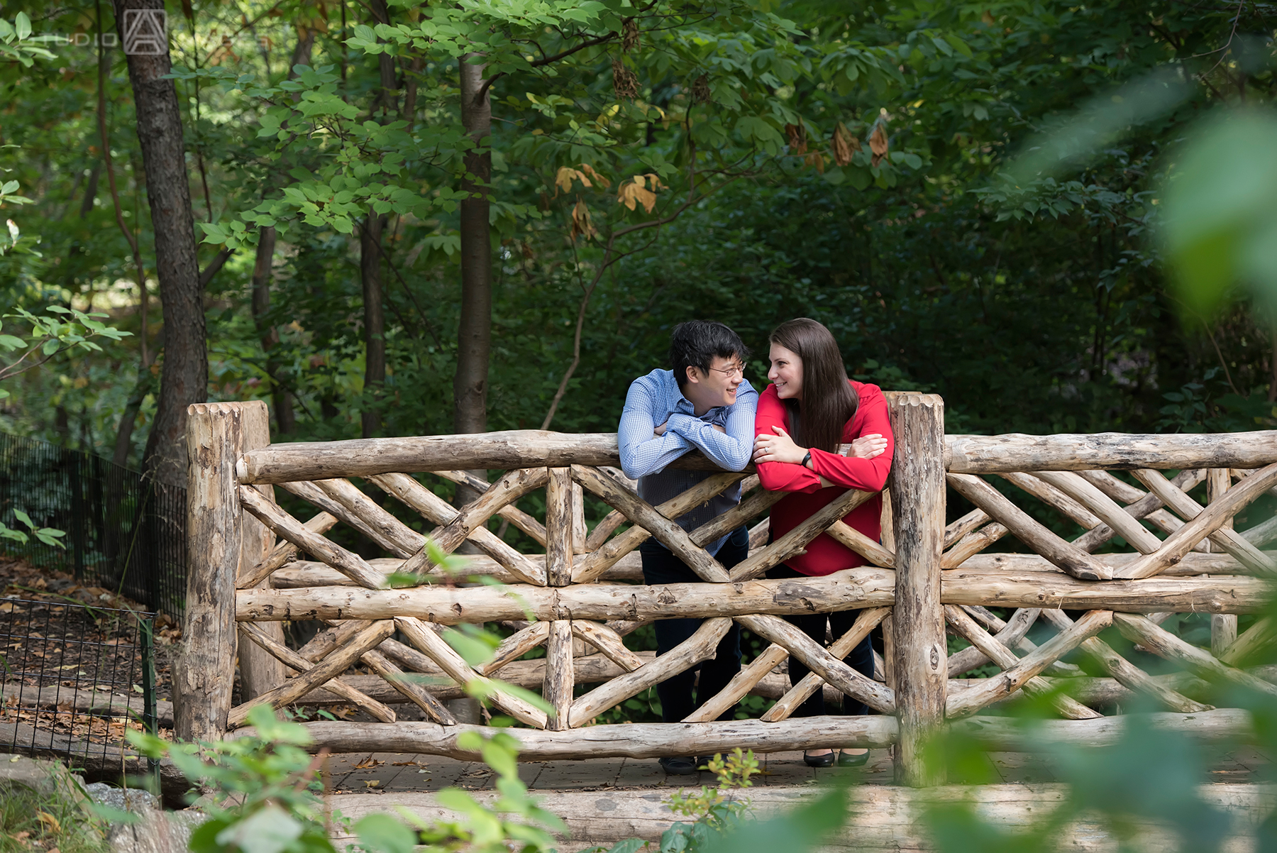 Central Park Engagement Photos | NYC Wedding Photographer | Sarah + Tony