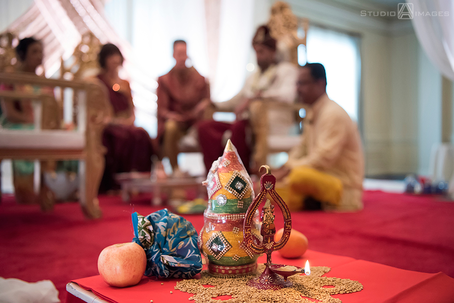 Hilton Pearl River NY Wedding Photos | New York Indian Wedding Photos | Mary Beth + Arjun
