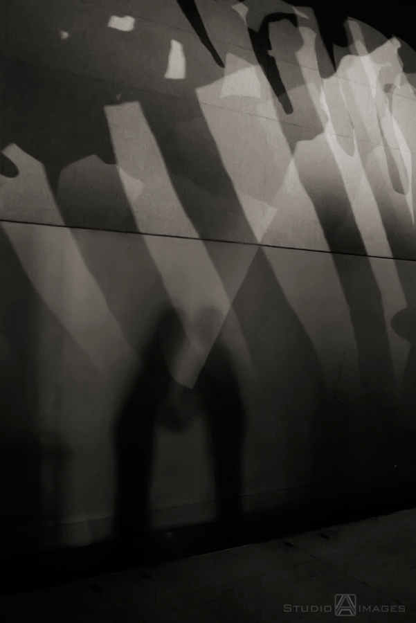American Museum of Natural History Engagement Photos | NYC Wedding Photographer | Maria + Genna