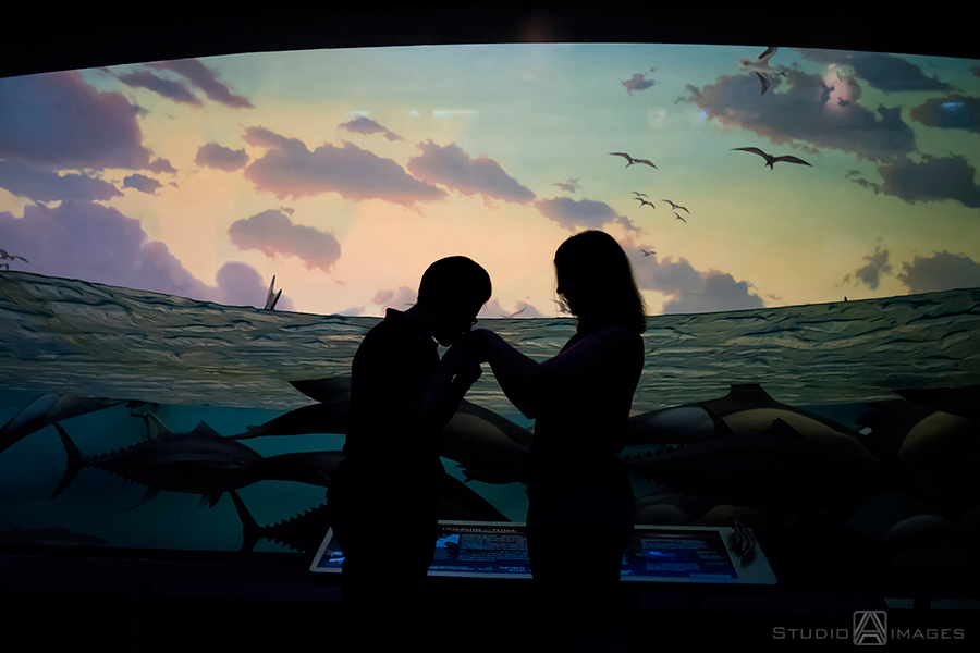 American Museum of Natural History Engagement Photos | NYC Wedding Photographer | Maria + Genna