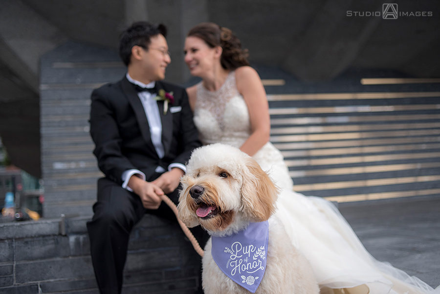 City Winery Wedding Photos | NYC Wedding Photographer | Sarah + Tony
