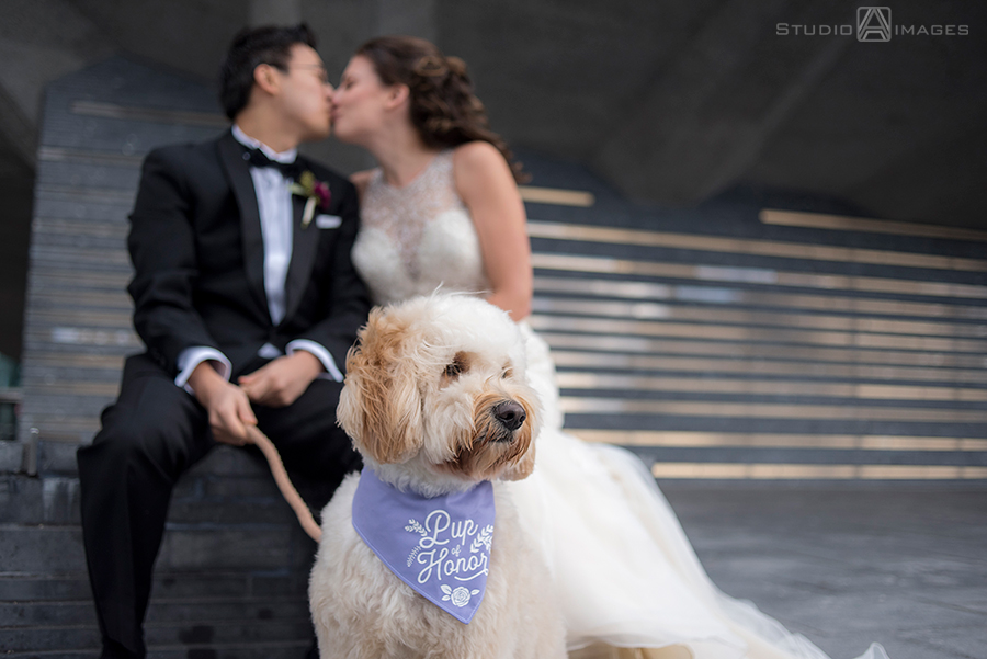 City Winery Wedding Photos | NYC Wedding Photographer | Sarah + Tony