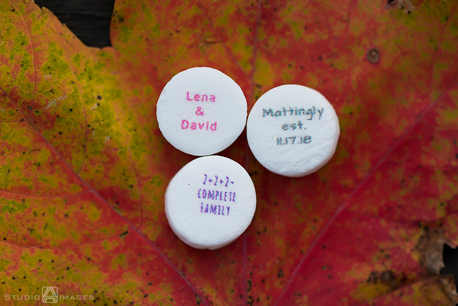 Celebrate at Snug Harbor Wedding Photos | NYC Wedding Photographer | Lena + David