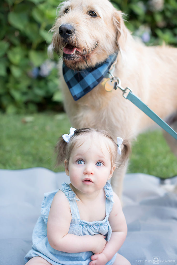 Westfield Family Photos | Westfield Family Photographer | Paisley
