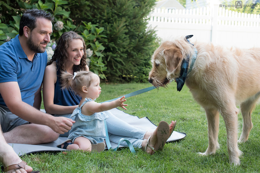 Westfield Family Photos | Westfield Family Photographer | Paisley