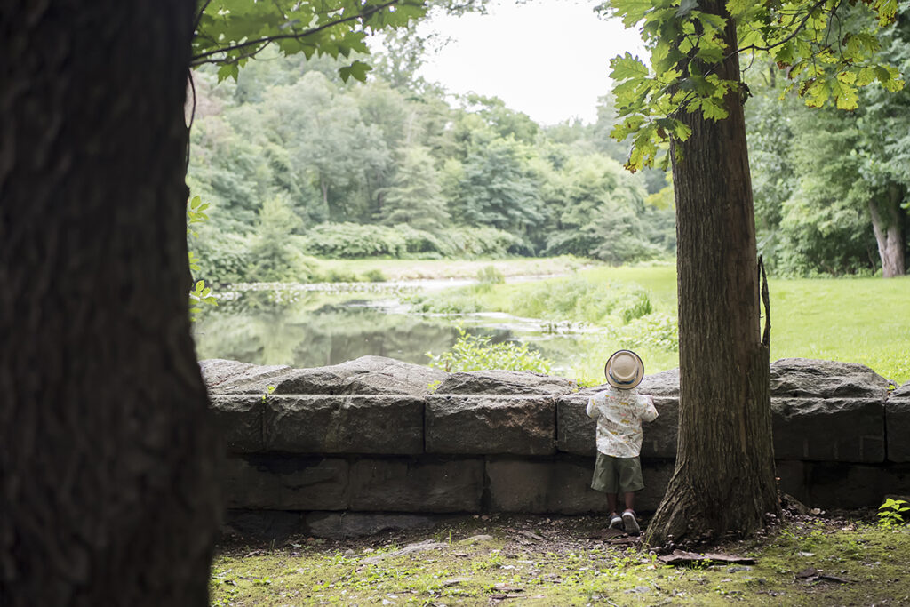 family playing in the park during their Day in the Life family session in Scarsdale, New York