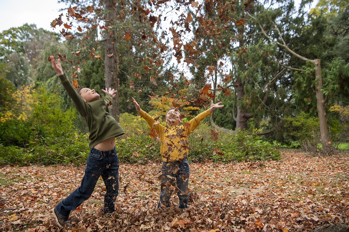 Ringwood Manor Fall Portraits | NJ Family Photographer | S Family