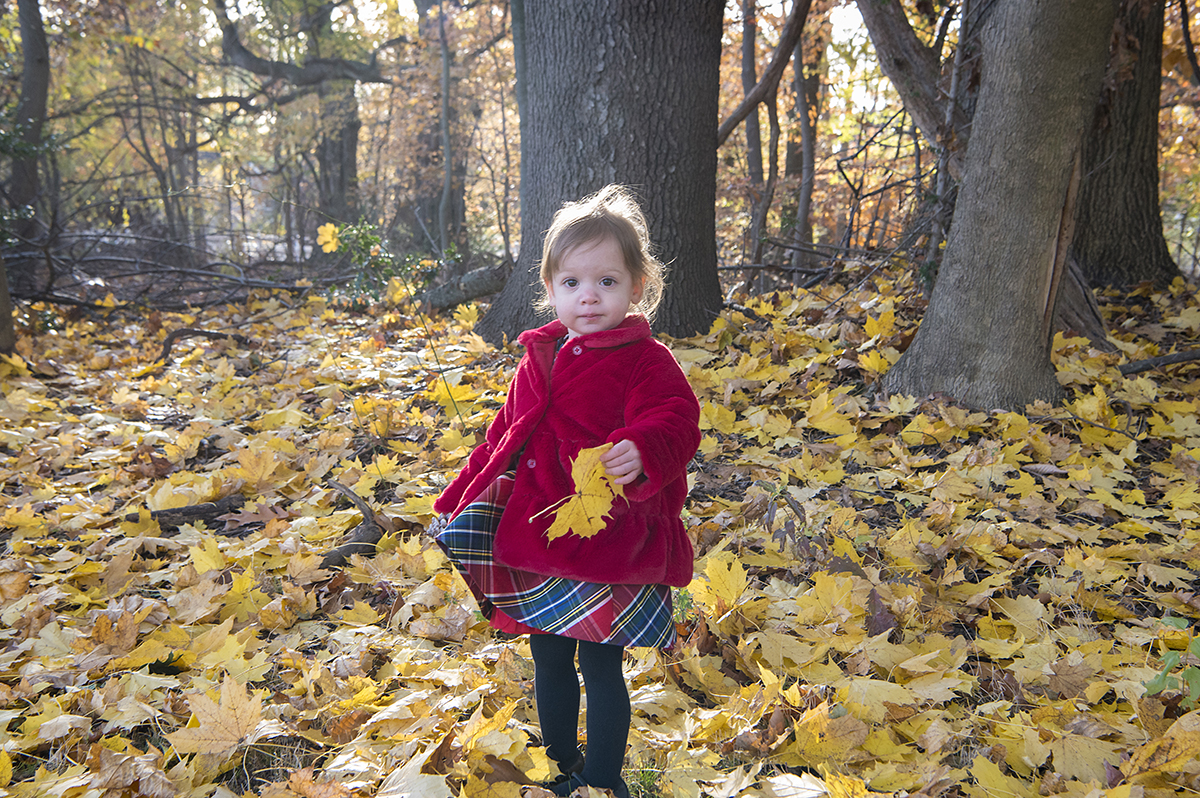 NJ Fall Family Photos | NJ Family Photographer | C Family