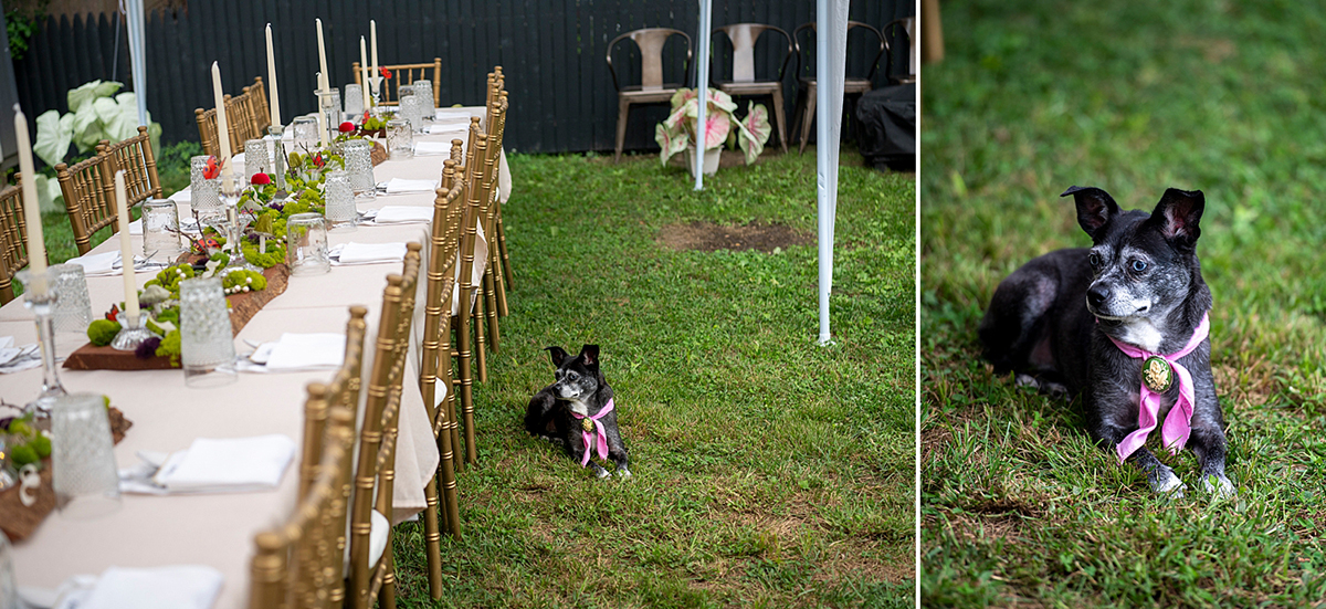 New Jersey backyard wedding reception