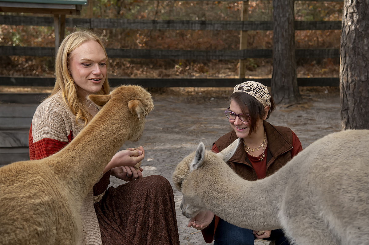 same sex engaged couple at alpaca farm for fall engagement photos