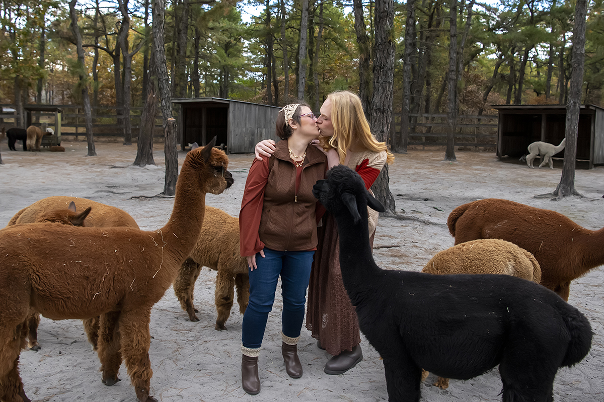 same sex engaged couple at alpaca farm for fall engagement photos